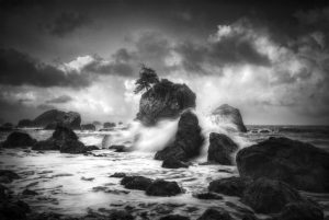 Morning Seas