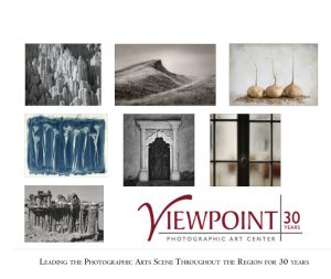 Viewpoint 30th Anniversary Book Cover
