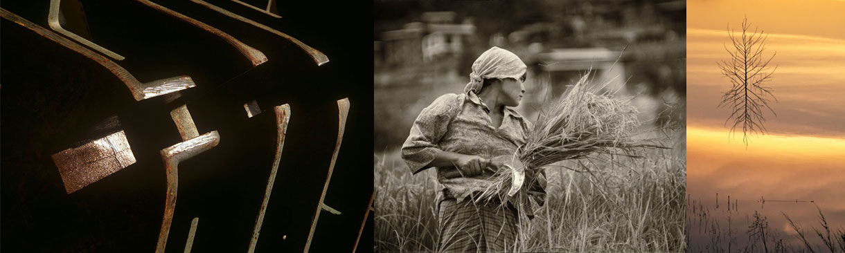 Portfolio Member Photo Credit (l/r): James R. Swartzlander | Adrienne Sher | Alan Paschal