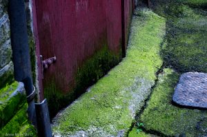 Alley #40