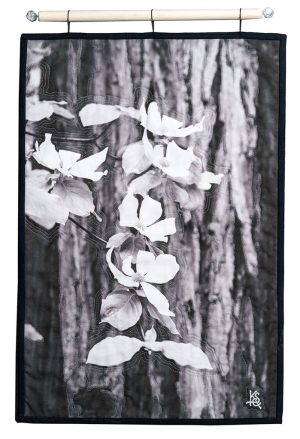 Ahwahnee - Dogwoods - Front