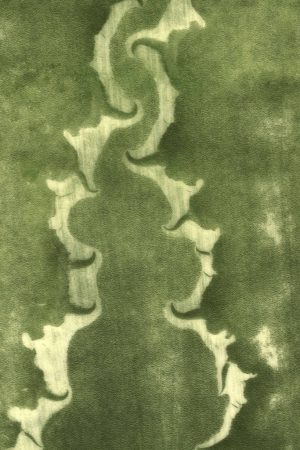 Aloe Abstract #3