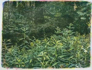 Along the Road #12