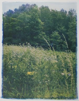Along the Road #27