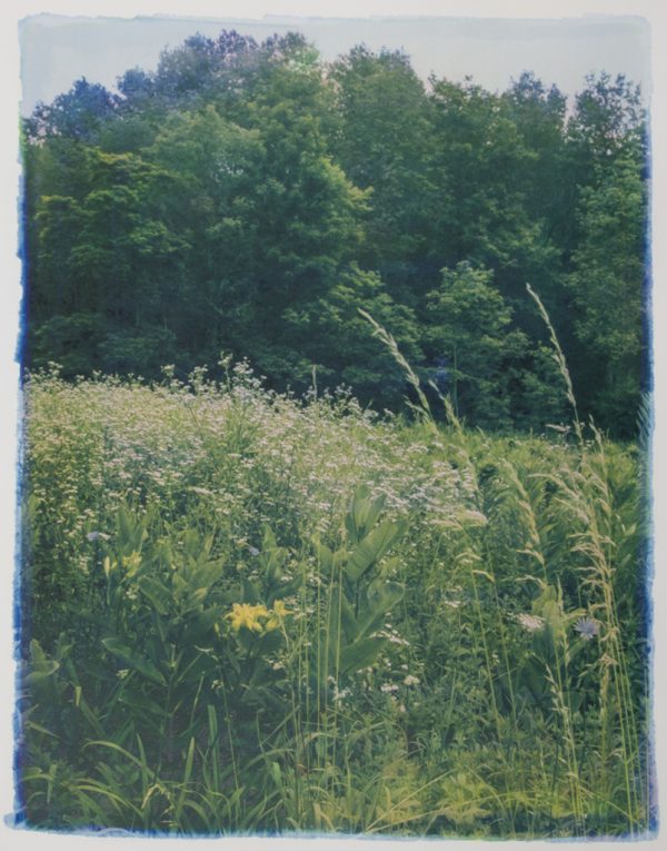 Along the Road #27