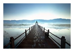 Awakening to the Dawn