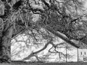Bader Road Barn, Elk Grove, CA