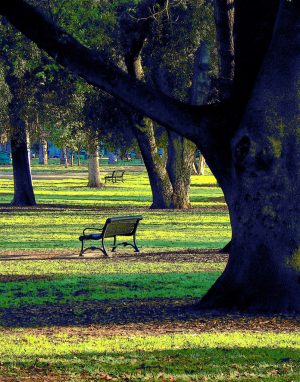 Benches, McKinley Park