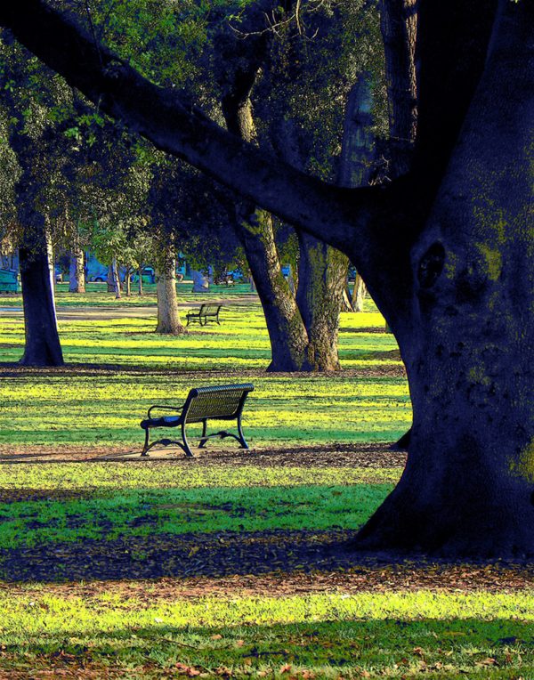 Benches, McKinley Park