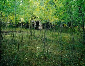 Cabin in Aspens
