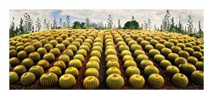 Cactus Cornucopia