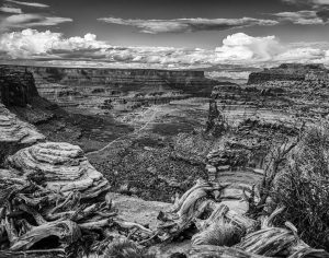 Canyon Trail