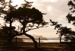 Cape Arago, Oregon