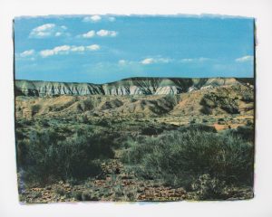 Capitol Reef #15