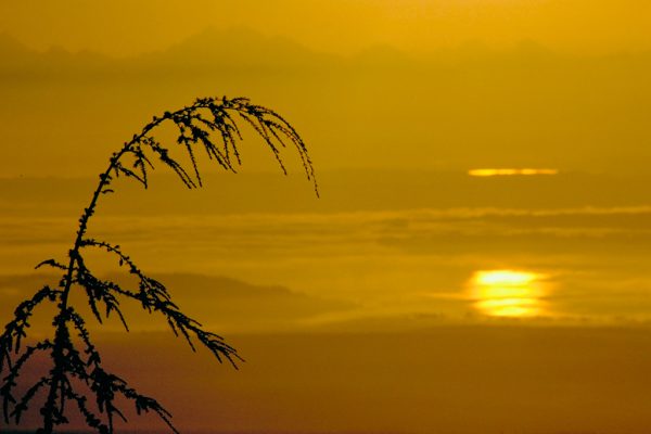 Cascade Coast