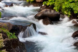 Cascading Water and Rocks, McCloud River, California