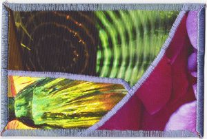 Chihuly & Roses – 10
