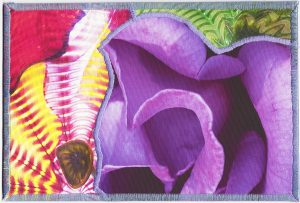 Chihuly & Roses – 3