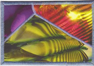 Chihuly & Roses – 9
