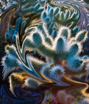 Cholla, Liquify
