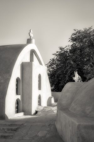 Coptic Cats