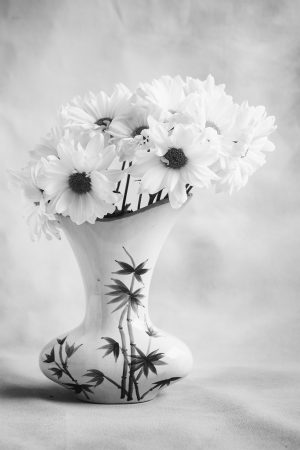 Daisy Study #3