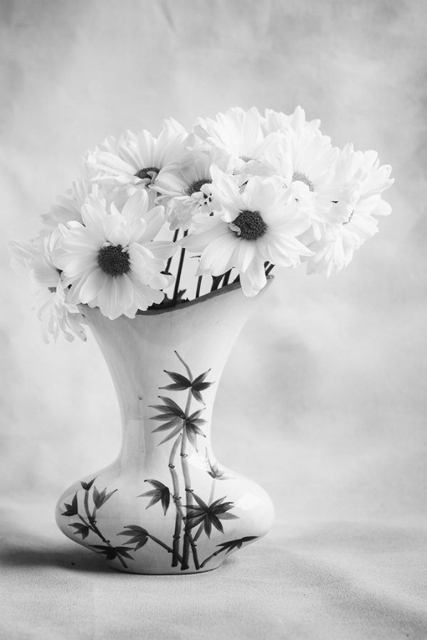 Daisy Study #3