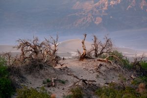 Death Valley Dunes