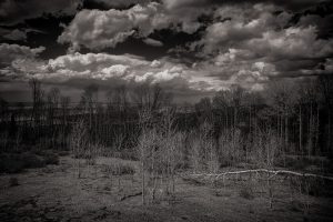 EARLIEST SPRING, LA SAL MOUNTAINS