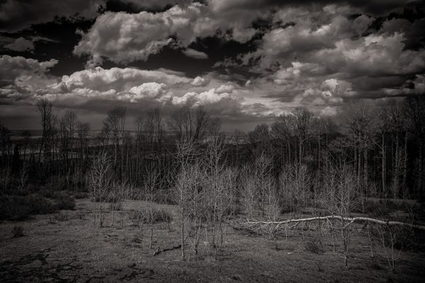 EARLIEST SPRING, LA SAL MOUNTAINS