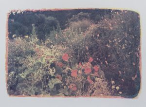 Esalen #11