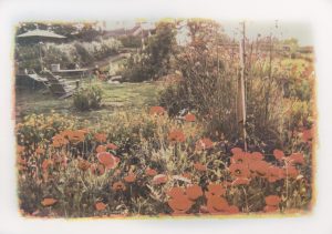 Esalen #13