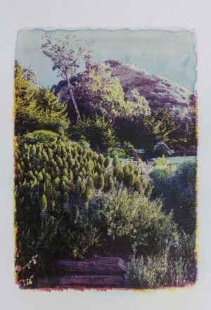Esalen #2