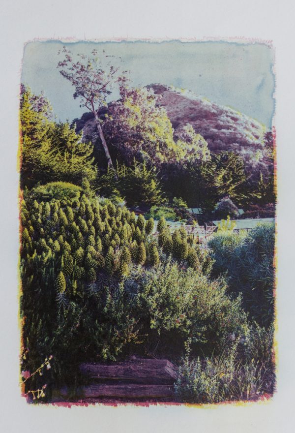 Esalen #2