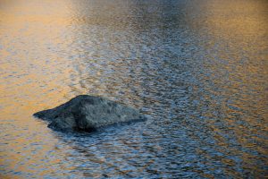 Evening Reflections