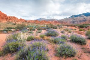 Fairytale Canyon