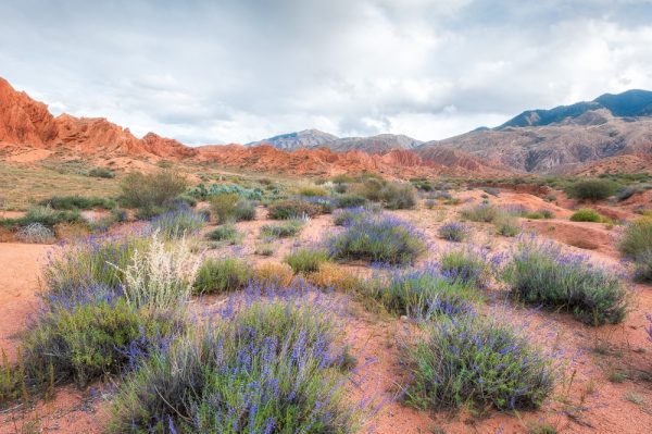 Fairytale Canyon