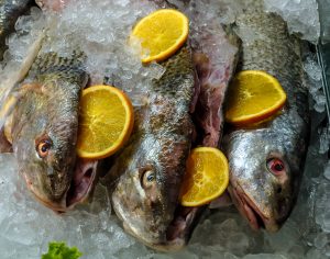 Fish Market