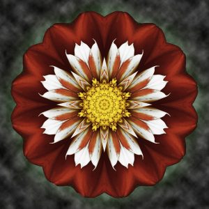 Floral Reverie #8