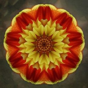 Florial Reverie #5