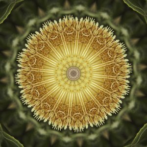 Floral Reverie #7