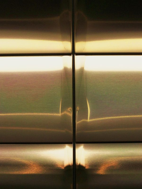 Fluoresence: Dawn to Dusk