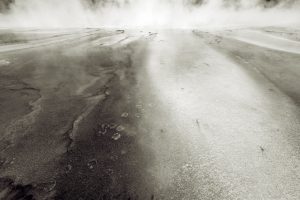 Footprints in the Mist