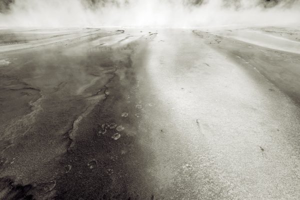 Footprints in the Mist