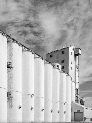 Grain Elevators, Knights Landing