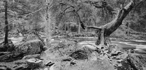 Homage to Ansel Adams and Fred Picker