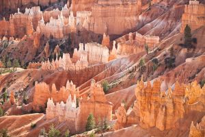 Hoodoos, Bryce Canyon National Park, Utah