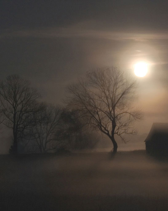 image-fog-housea-03sharon-bussert_0