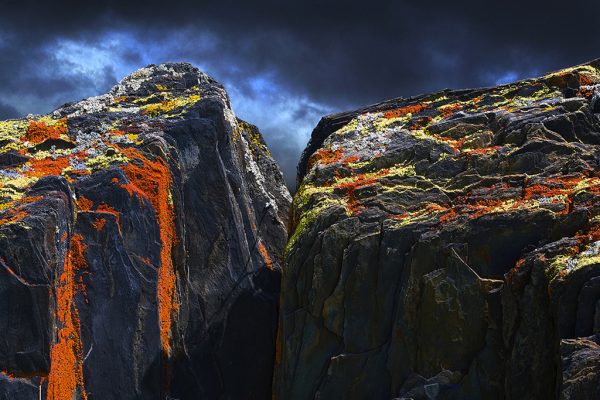 Lichen on Rocks