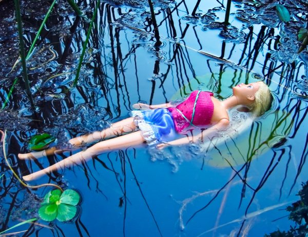 On the Lilypad